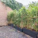 Vieux Lille - Superbe appartement cozy avec terrasse